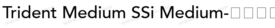 Trident Medium SSi Medium字体转换